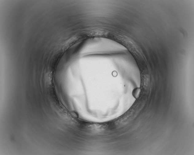 X0000110910326200907091442