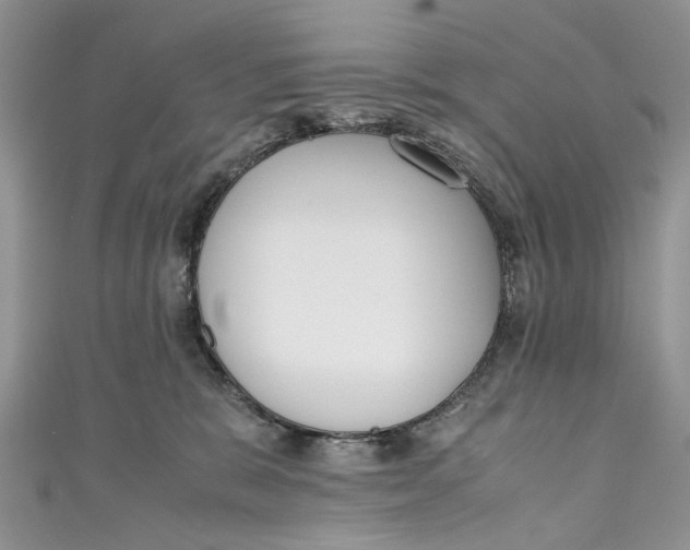 X0000110910327200907091442