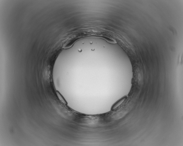 X0000110910328200907091442