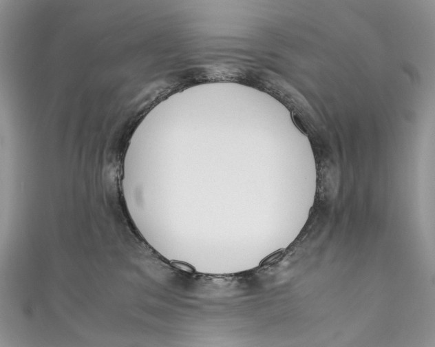 X0000110910329200907091442