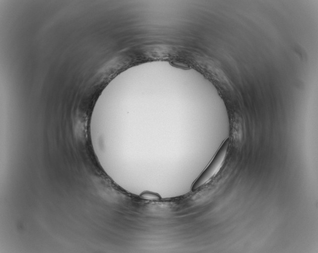 X0000110910332200907091442