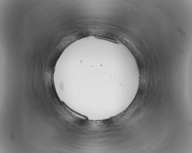 X0000110910333200907091442