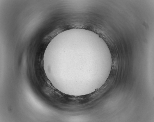 X0000110910334200907091442