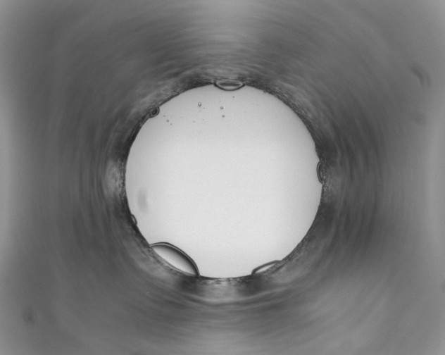 X0000110910335200907091442