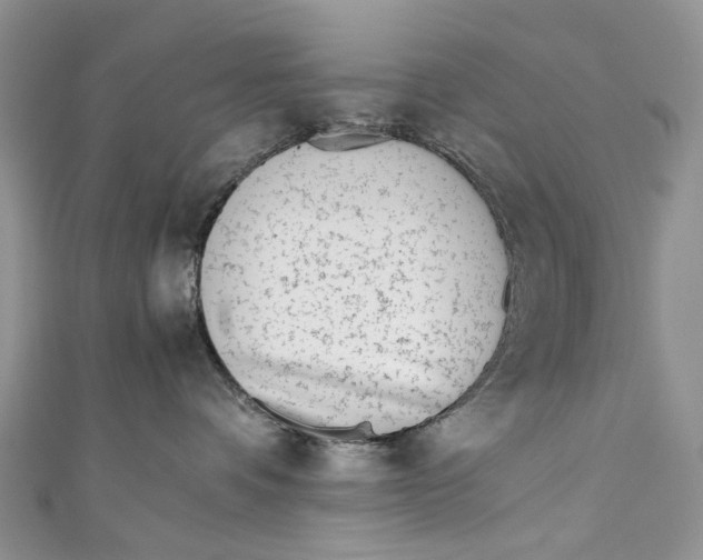 X0000110910336200907091442