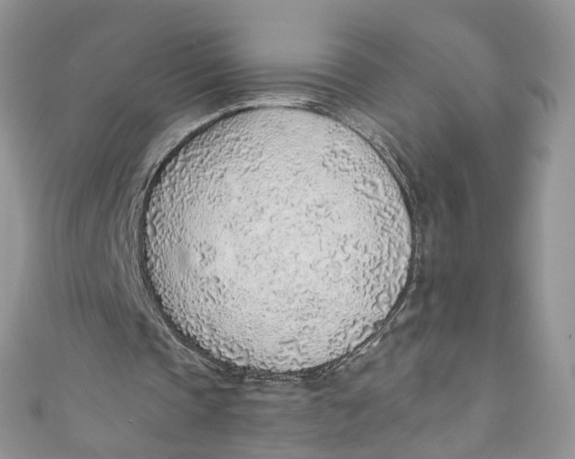 X0000110910337200907091441