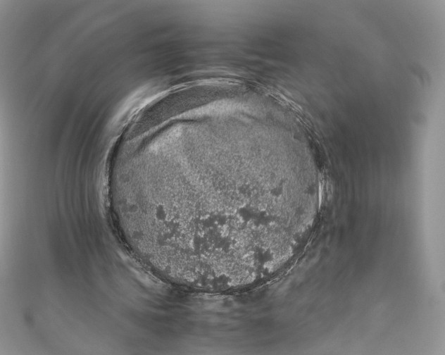 X0000110910339200907091441