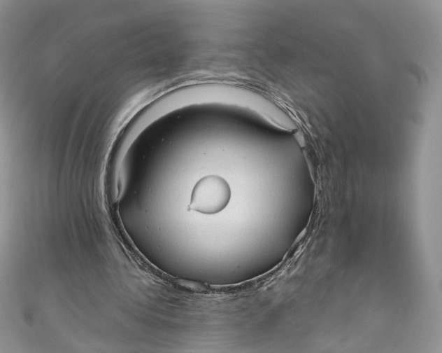 X0000110910340200907091441