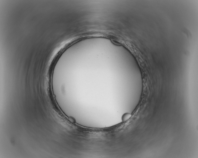 X0000110910342200907091441