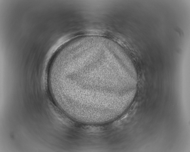 X0000110910343200907091441