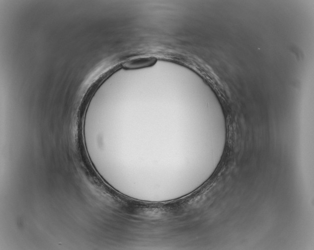 X0000110910344200907091441