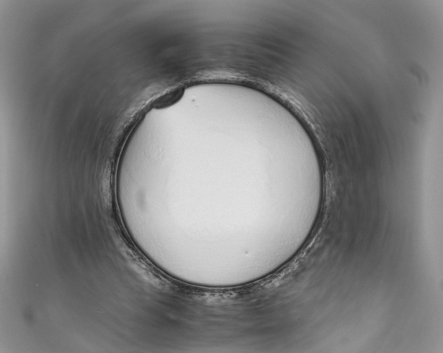 X0000110910345200907091441