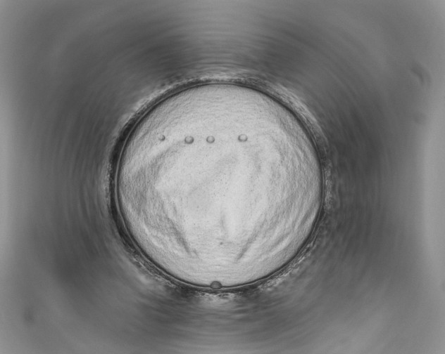 X0000110910346200907091441