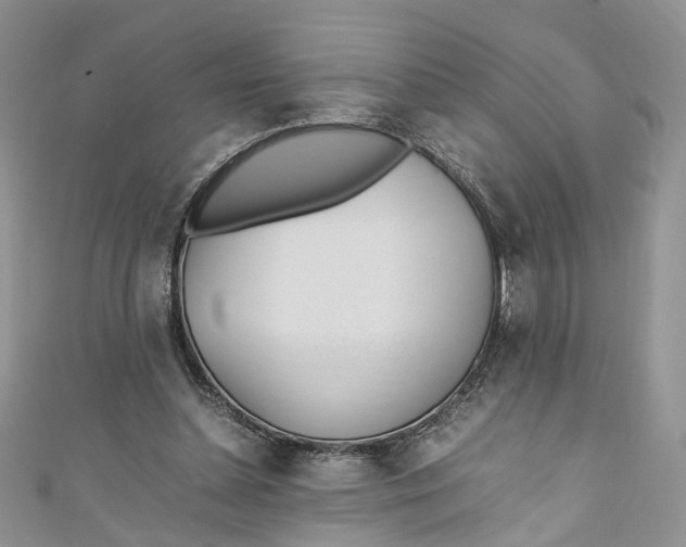 X0000110910348200907091441