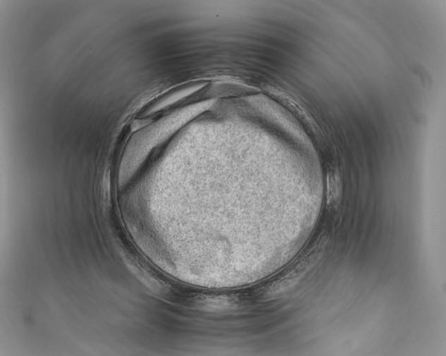 X0000110910349200907091441