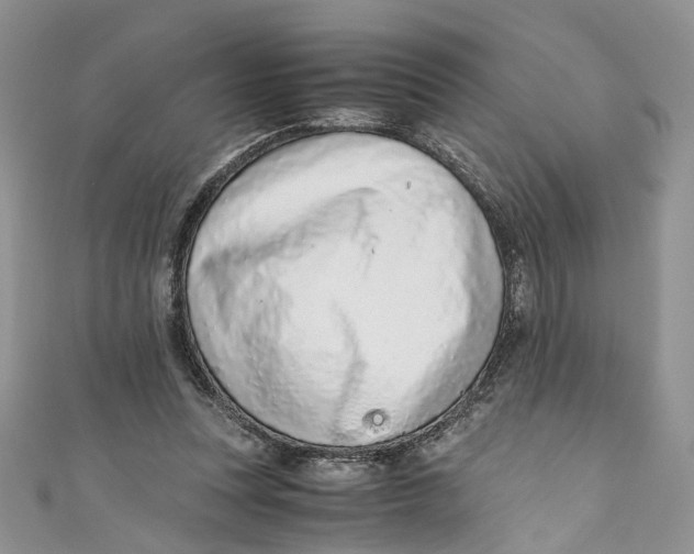 X0000110910351200907091441