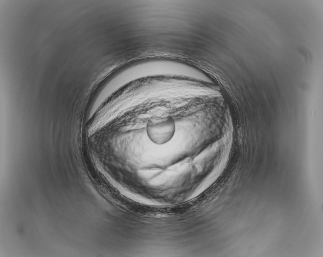 X0000110910352200907091441