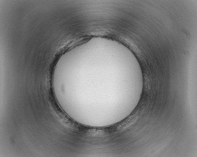 X0000110910354200907091441