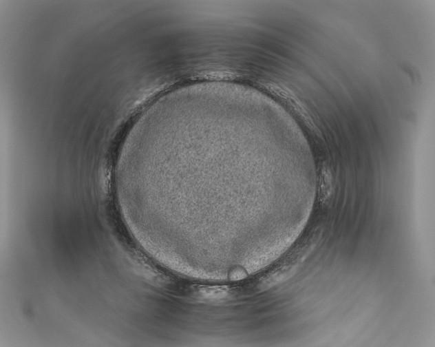 X0000110910355200907091441