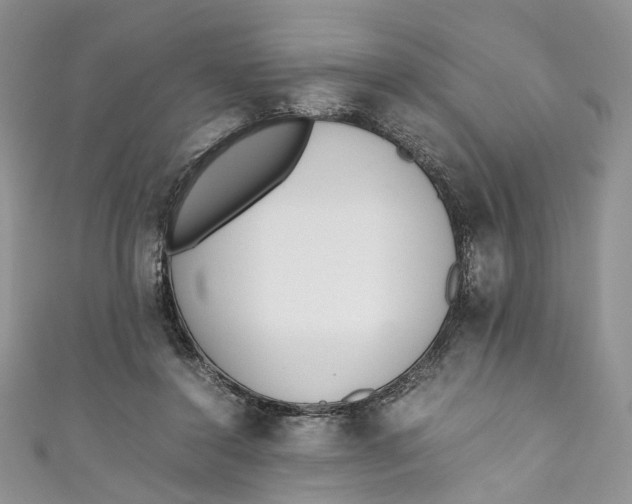 X0000110910356200907091441