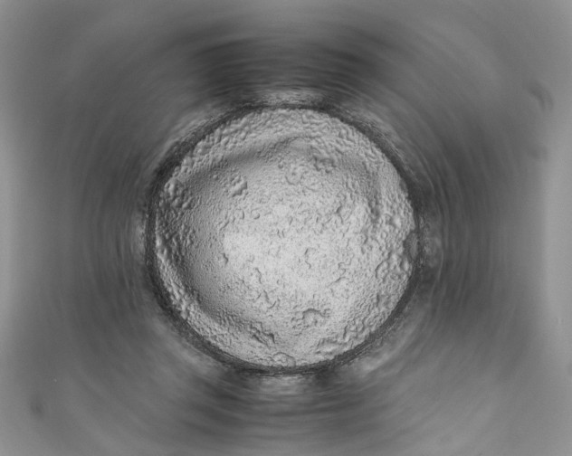 X0000110910357200907091441