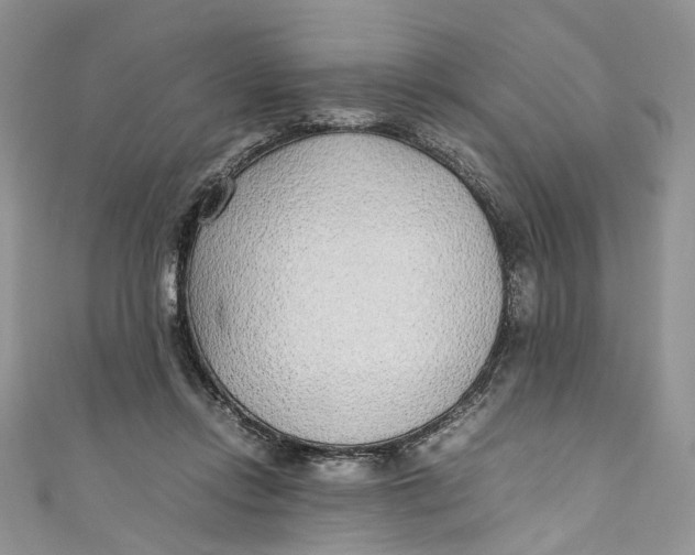 X0000110910358200907091441