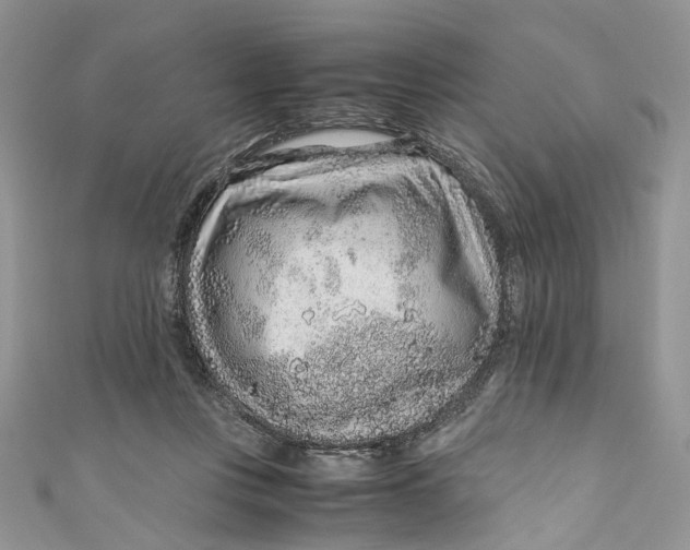 X0000110910359200907091441