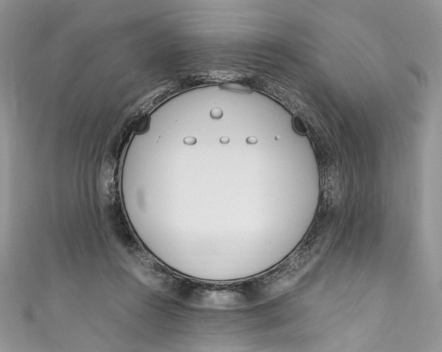 X0000110910360200907091441