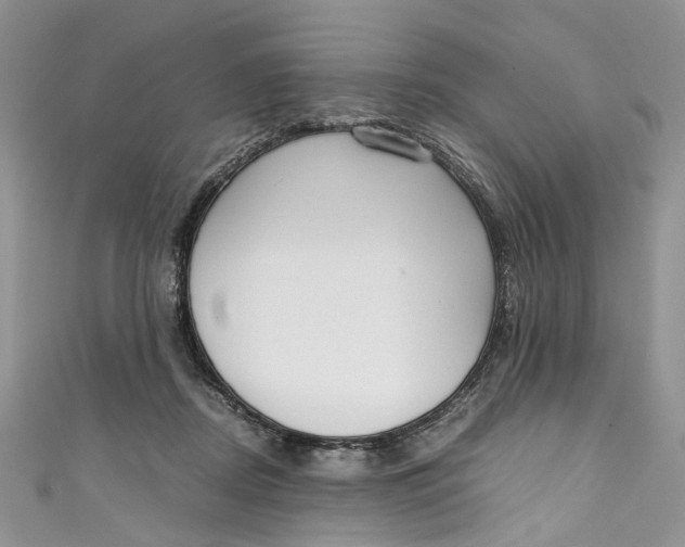 X0000110910362200907091441