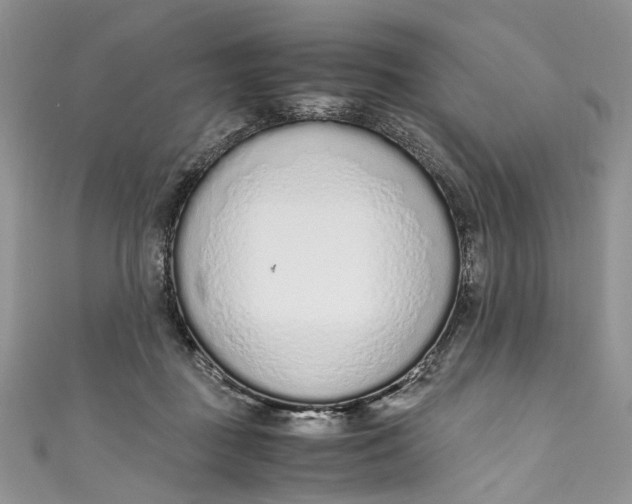 X0000110910363200907091441