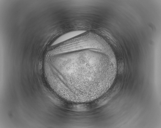 X0000110910365200907091441