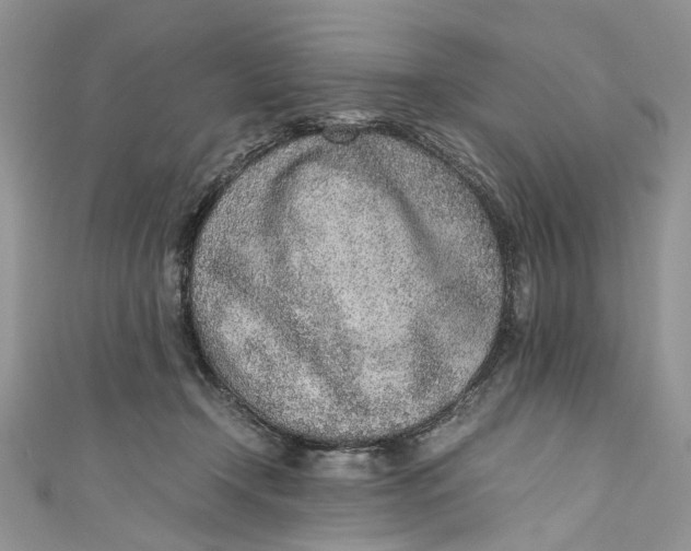 X0000110910366200907091441