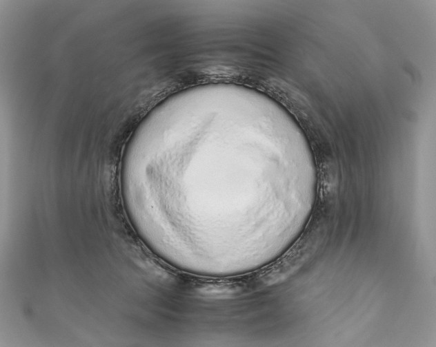 X0000110910369200907091441