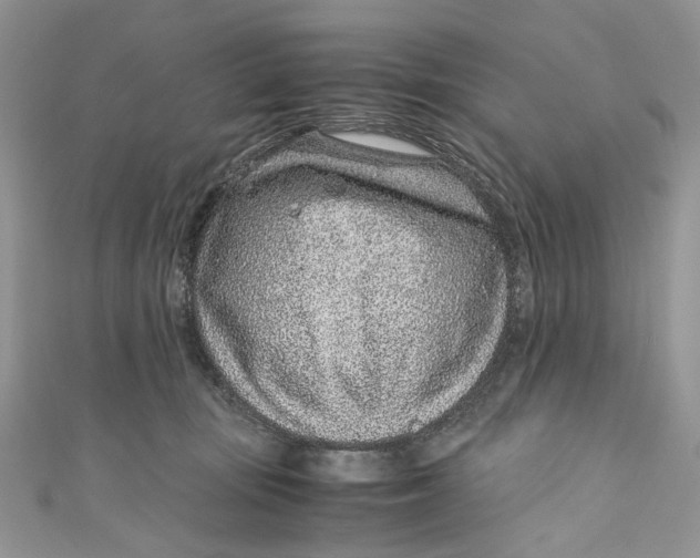 X0000110910371200907091441