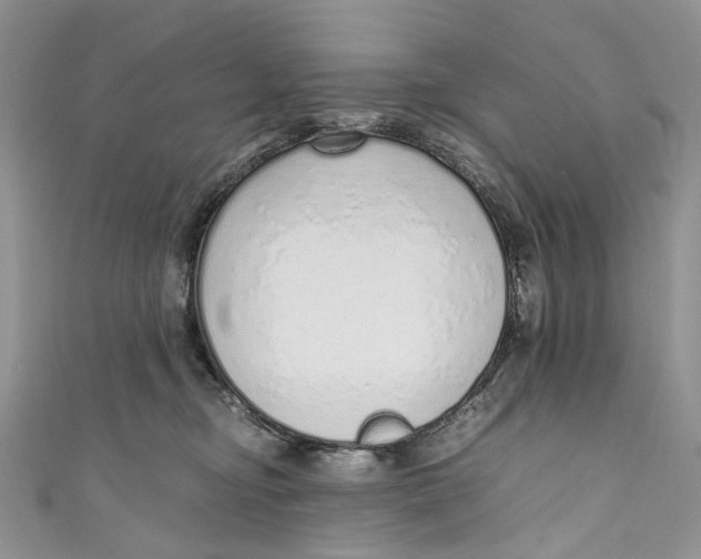 X0000110910374200907091441