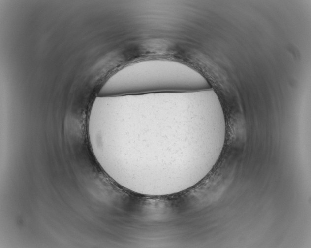 X0000110910376200907091441