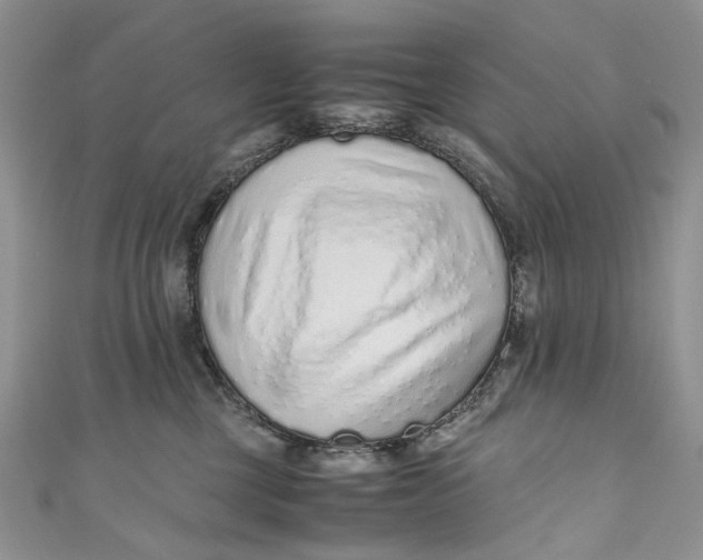 X0000110910377200907091441