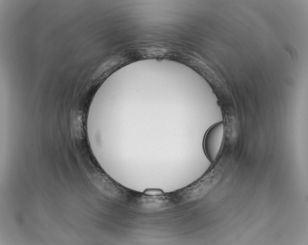 X0000110910378200907091441