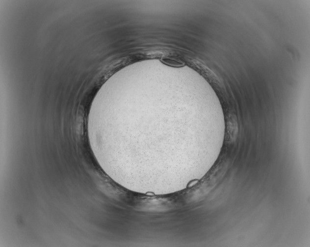 X0000110910379200907091441