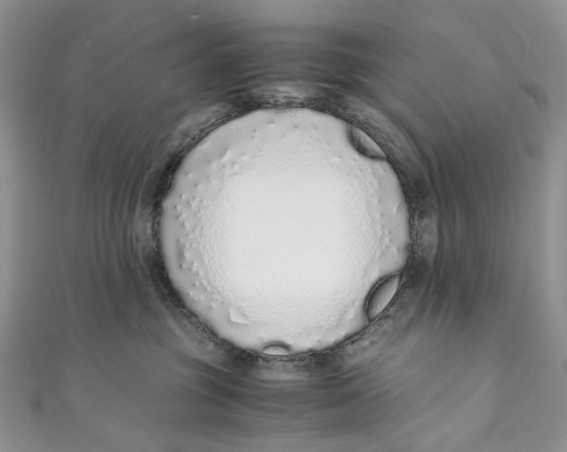 X0000110910381200907091441