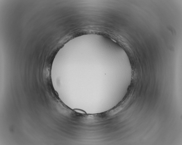 X0000110910382200907091441