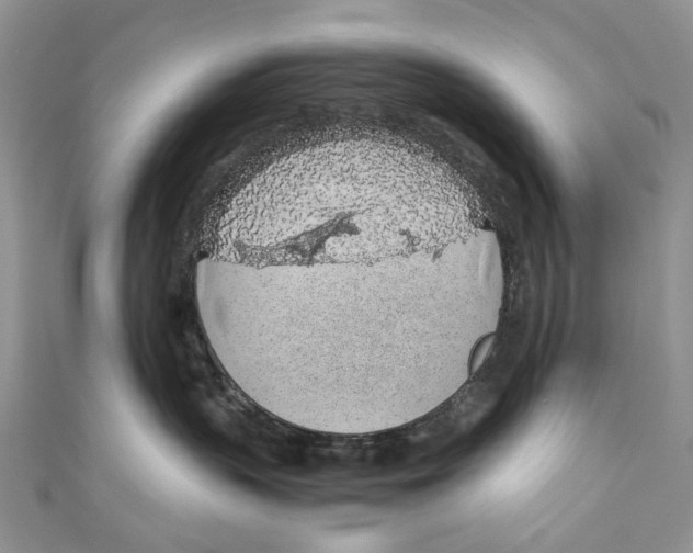 X0000110910383200907091441