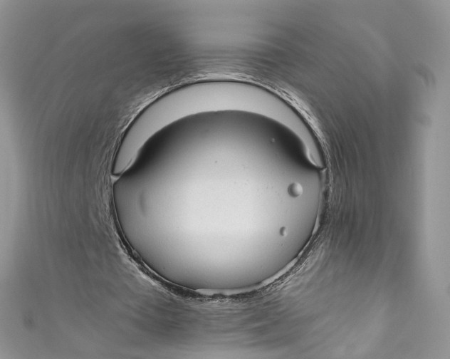 X0000110910385200907091441