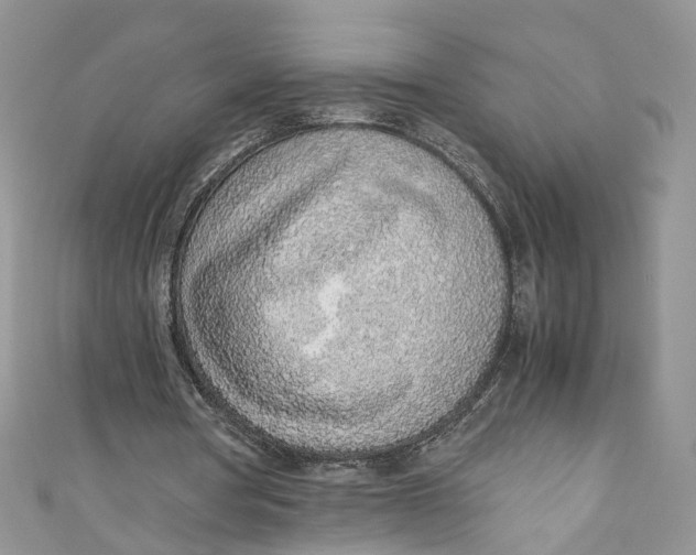 X0000110910386200907091441