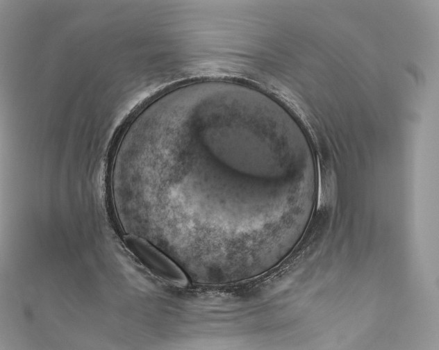 X0000110910387200907091441