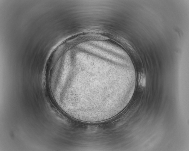 X0000110910388200907091441