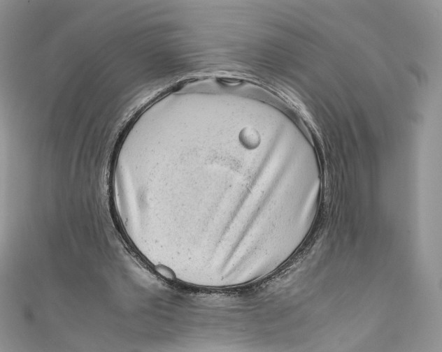 X0000110910389200907091441