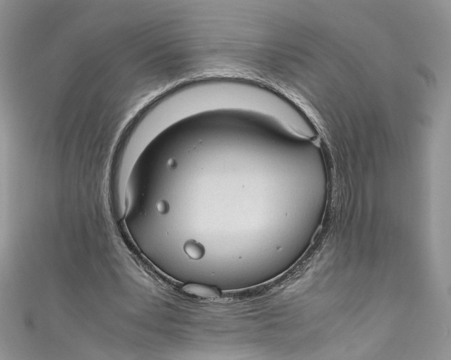 X0000110910391200907091441