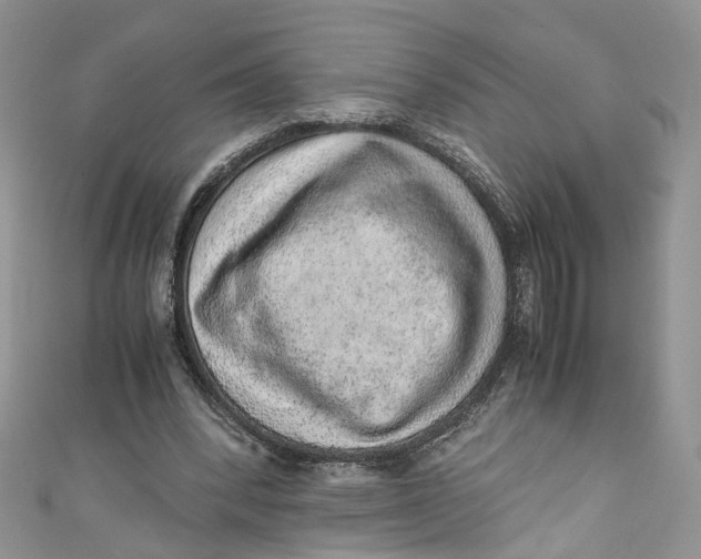 X0000110910392200907091441