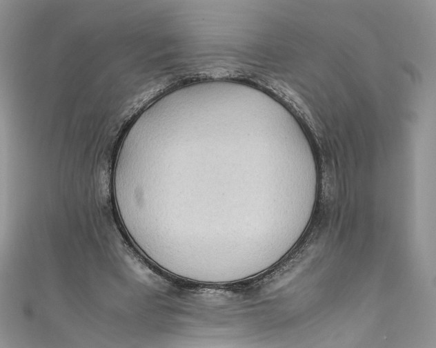 X0000110910393200907091441